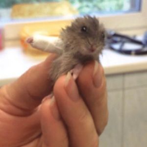 Meet your Posher, Ashlyn